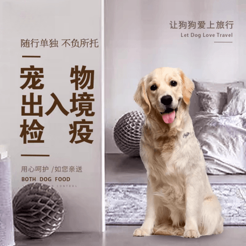 江西省宠物托运到哥伦比亚猫狗宠物入境规定和