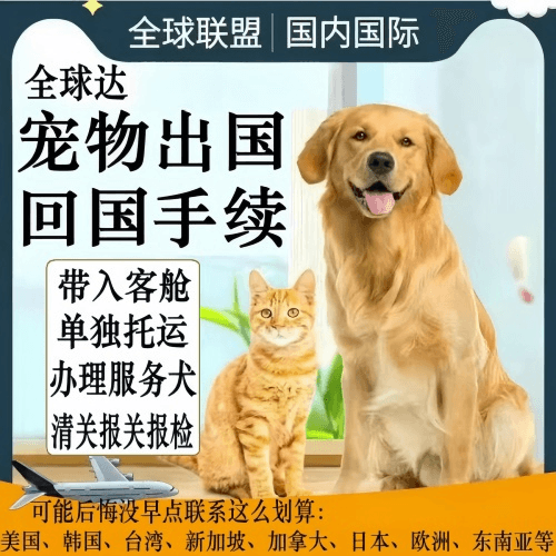 江西省宠物托运到柬埔寨宠物入境规定和要求