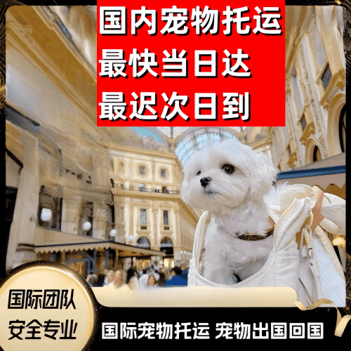 江西省到澳大利亚（澳洲）宠物入境规定和要求